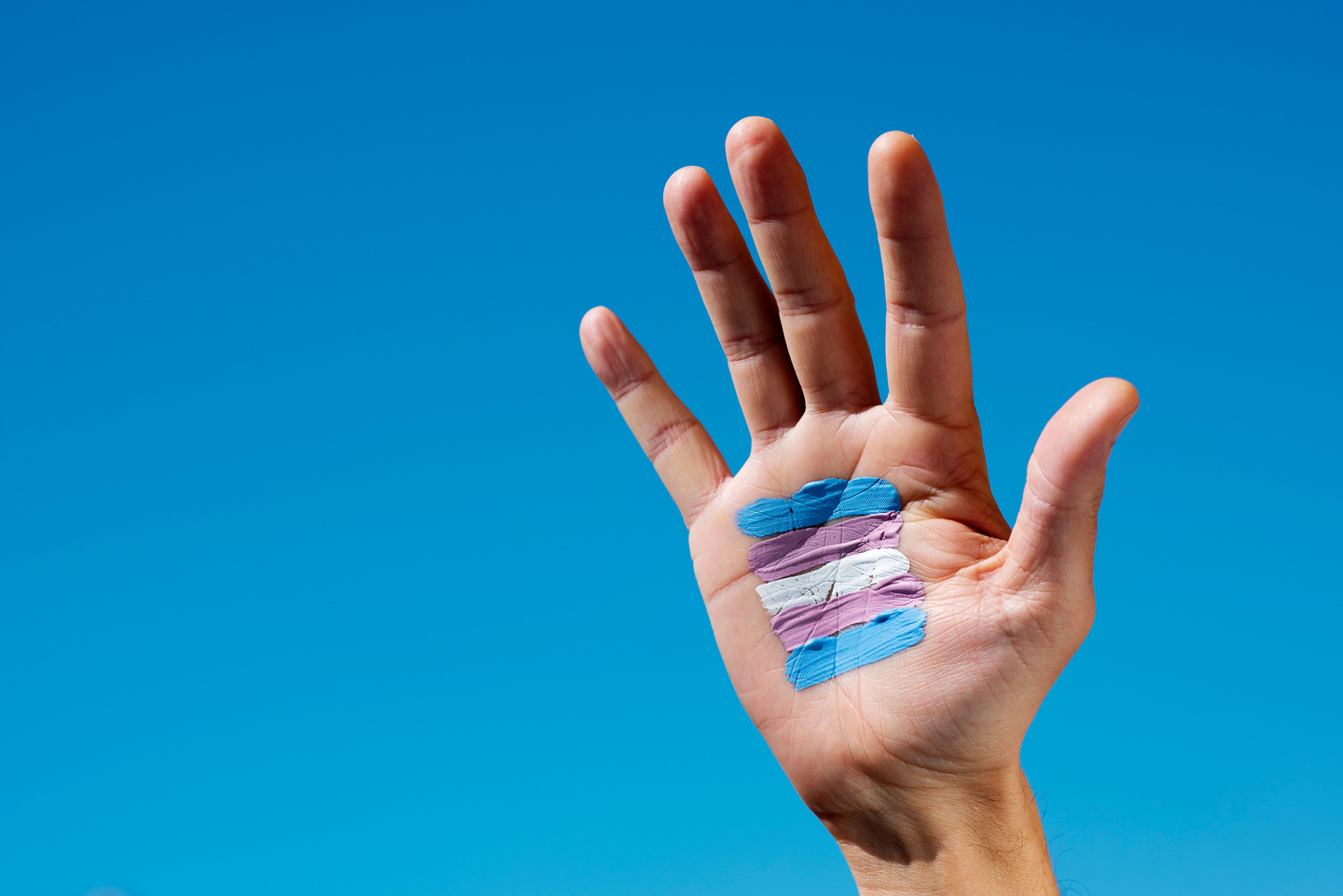 Transgender Flag in the Palm of the Hand